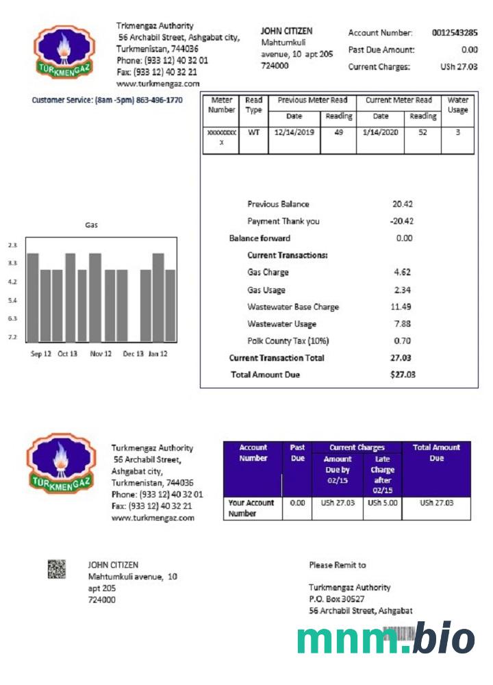 Turkmenistan Turkmengaz szablon rachunku za media w formacie Word i PDF